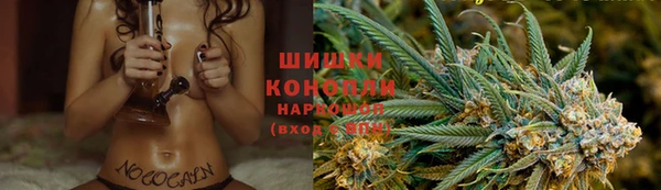 сатива Аркадак