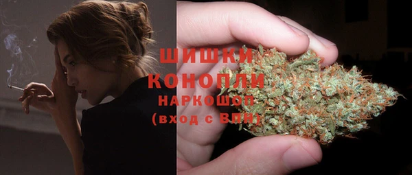 сатива Аркадак