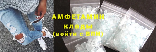 сатива Аркадак