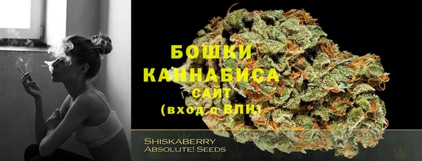 сатива Аркадак