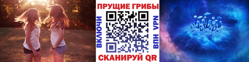 Галлюциногенные грибы Cubensis  площадка телеграм  Суровикино 